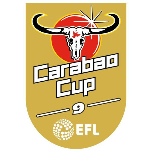 Carabao Cup Winners